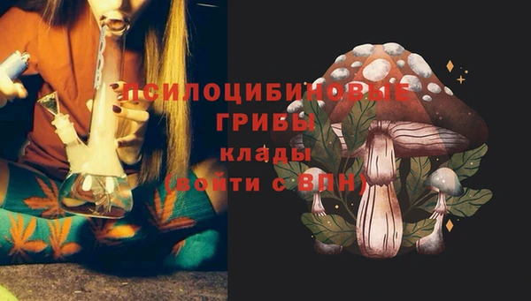 таблы Краснослободск